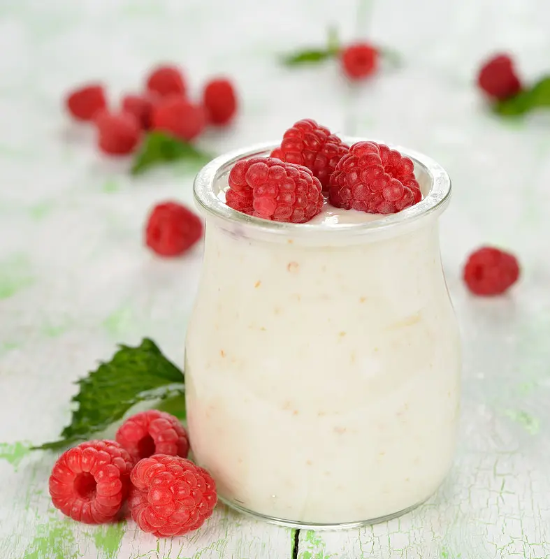 Veganen Joghurt selber machen - Ganz einfach!