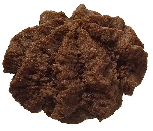 Chocolat jumbo Bio