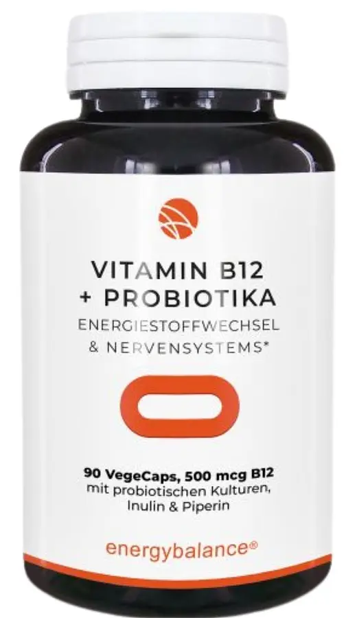 Vitamin B12 500µg Methylcobalamin Vegan