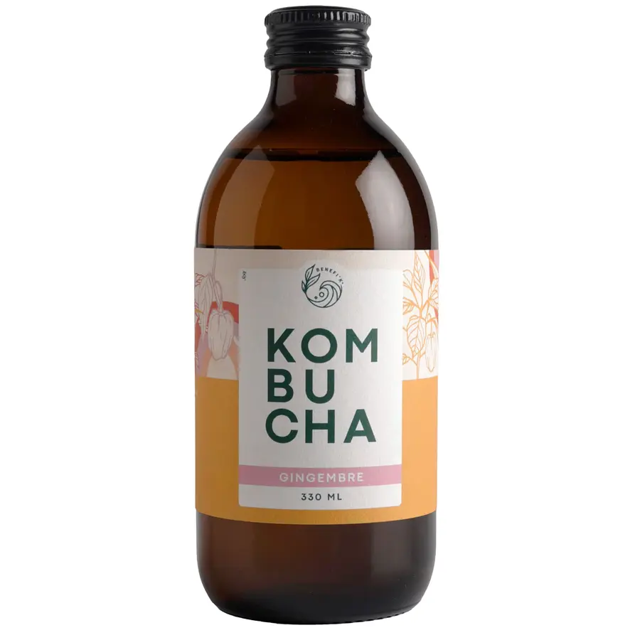 Kombucha Gingembre Bio