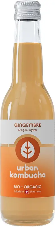 Kombucha Urban thé vert et gingembre Bio