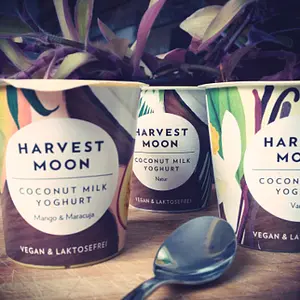 Coconut Milk with Yoghurt Cultures Vanilla Organic, 125 g
