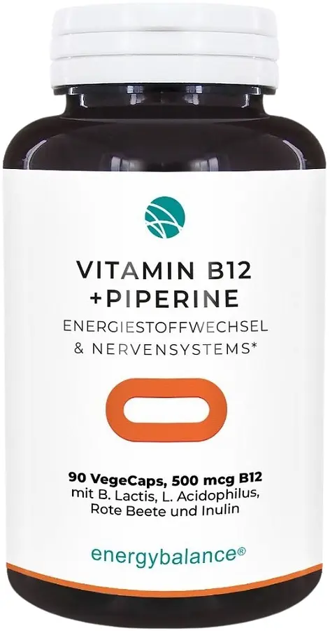 Vitamin B12 500µg Methylcobalamin Vegan Kapseln