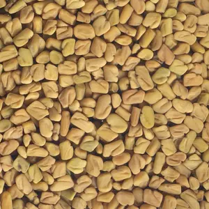 Graines à germer Fenugrec Bio, 150 g