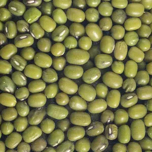 Sprouted Seeds Mung Bean Organic, 200 g