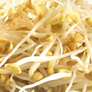 Graines à germer Fenugrec Bio, 150 g