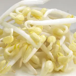 Sprouted Seeds Mung Bean Organic, 200 g