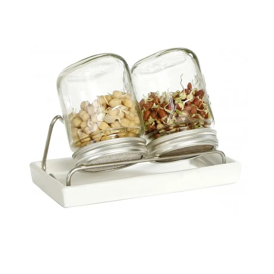 Eschenfelder Set of 2 Sprouting / Germination Glass Jar