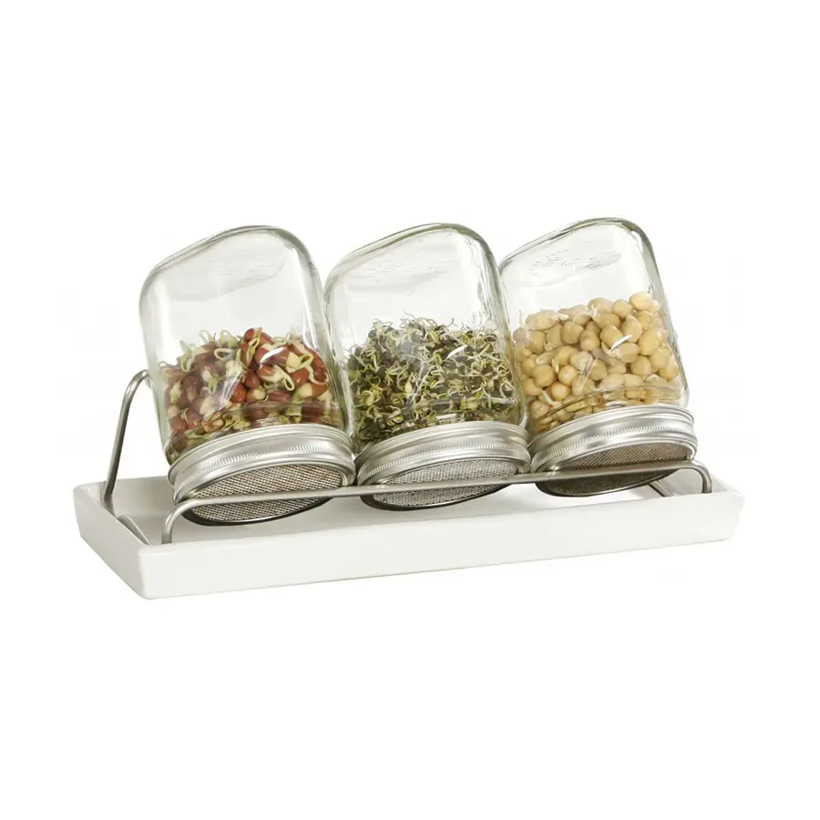 Eschenfelder Set of 3 Sprouting / Germination Glass Jar
