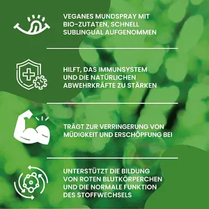 Vitamin B12 Methylcobalamin Vegan 500µg Spray, 25 ml