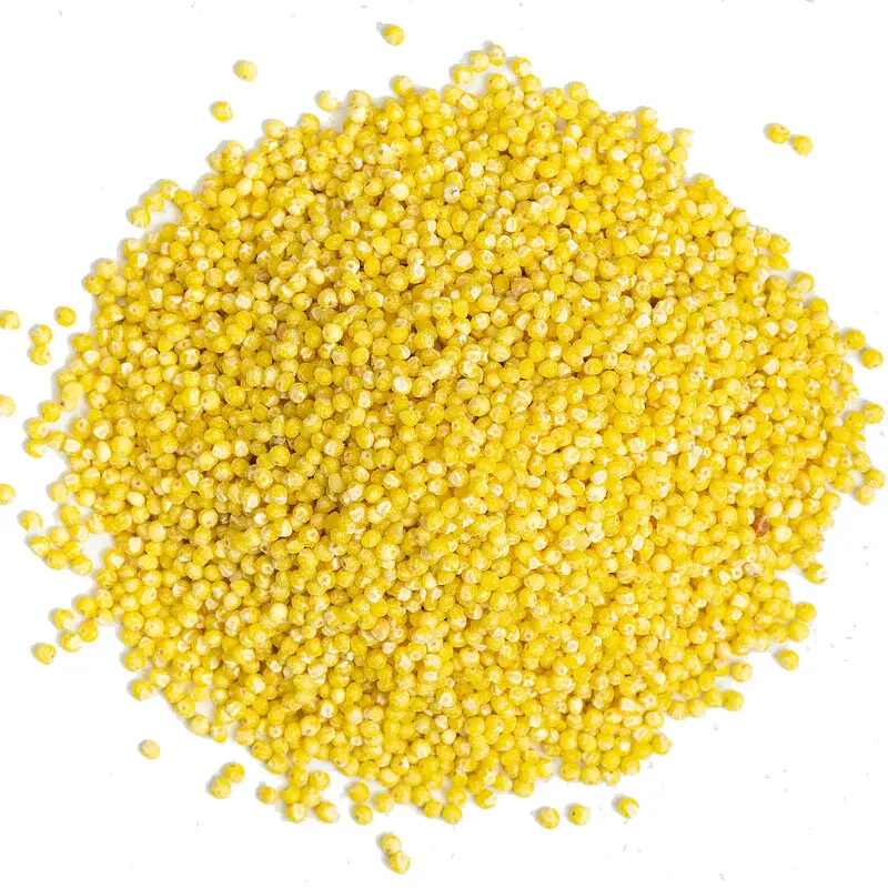Millet Peeled Bulk Buy Organic