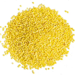 Millet Peeled Bulk Buy Organic, 5 kg