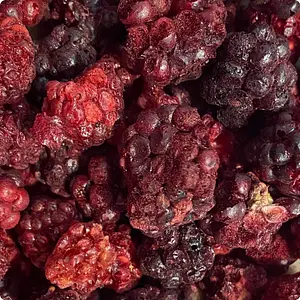 Crunchy Fruity Blackberry Freeze Dried RAW Organic, 16 g