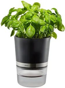 Herb Pot with Watering System BOTANICO Ø 14,2 cm, H 18,5 cm, 1 piece