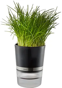 Herb Pot with Watering System BOTANICO Ø 14,2 cm, H 18,5 cm, 1 piece