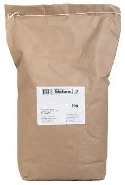 Wheat Grains Bulk BioSuisse