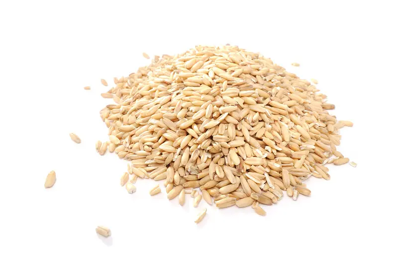 Oats Whole Grain Bulk Buy Organic