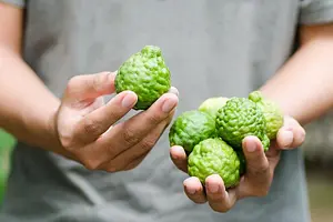 Deo Cream Royal No Bullsh!t #plasticfree, 50 ml