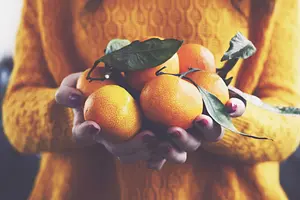 Deo Cream Modest No Bullsh!t #plasticfree, 50 ml