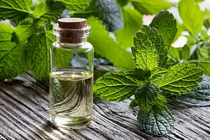 Lippenbalsam Lip Care Minty No Bullsh!t #plastikfrei, 15 ml