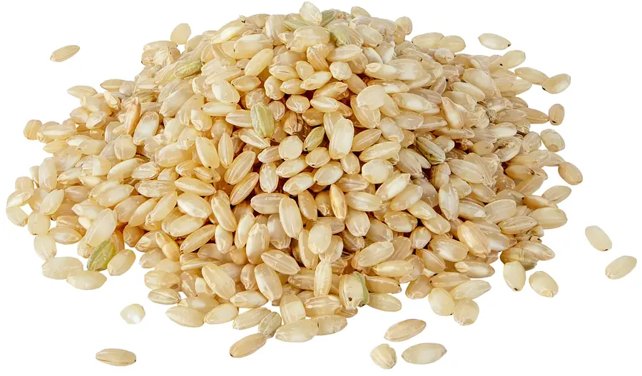 Rice Whole Round Grain Bulk Buy Organic