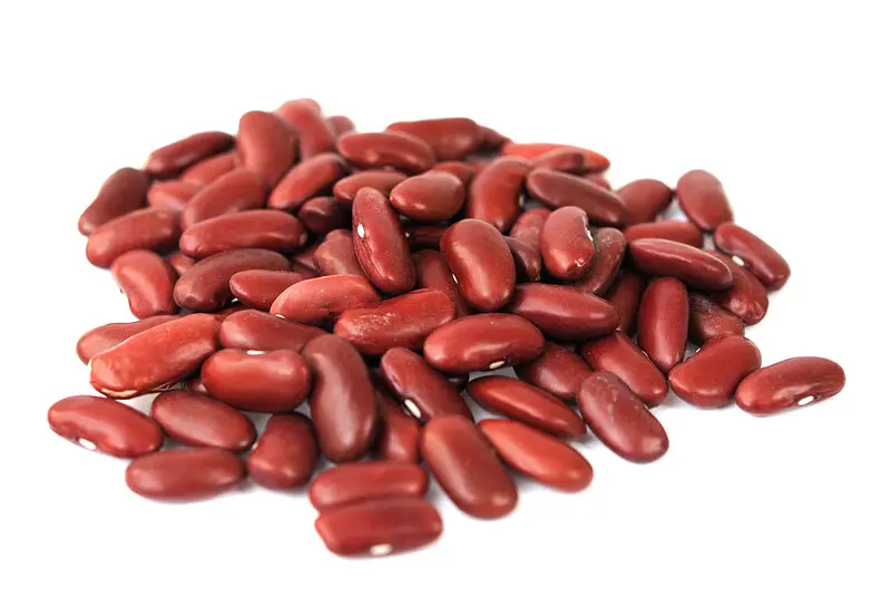 Red Kidney Beans Bulk Buy Organic