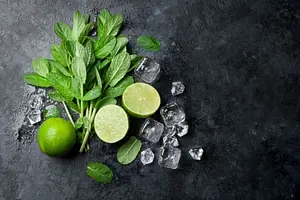 Deo Cream Mojito No Bullsh!t #plasticfree, 50 ml