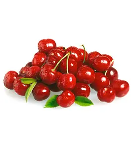 Acerola Pulver Pur Bio, 100 g
