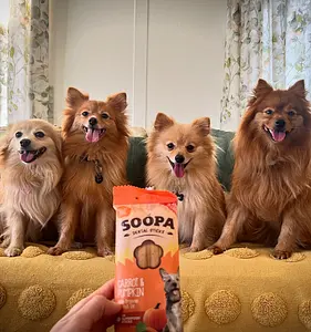 Dog Dental Sticks Vegan Soopa Carrot and Pumpkin, 100 g