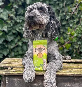 Dog Dental Sticks Vegan Soopa Kale and Apple, 100 g