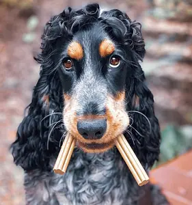 Dog Dental Sticks Vegan Soopa Coconut and Chia, 100 g