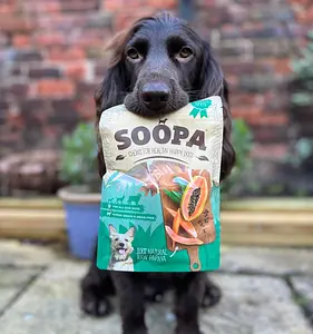 Dog Chews Vegan Soopa Papaya, 85 g