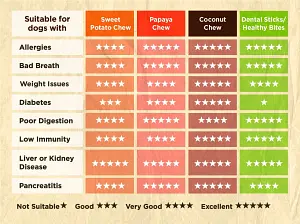 Dog Dental Sticks Vegan Soopa Coconut and Chia, 100 g