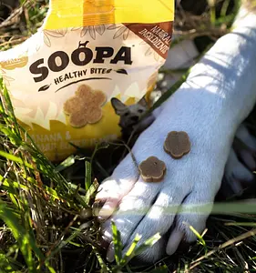 Dog Treats Bites Vegan Soopa Banana and Peanut Butter, 50 g
