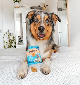 Dog Treats Bites Vegan Soopa Coconut and Chia, 50 g