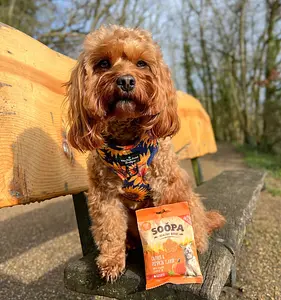 Dog Treats Bites Vegan Soopa Carrot and Pumpkin, 50 g
