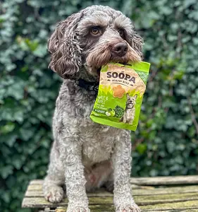 Dog Treats Bites Vegan Soopa Kale and Apple, 50 g