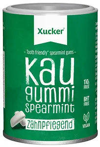 Xylitol Chewing Gum Menthe Verte, 100 g