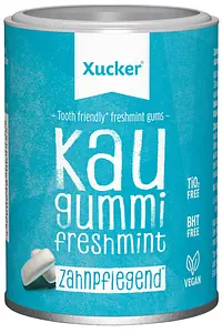 Xylitol Chewing Gum Menthe Verte, 100 g