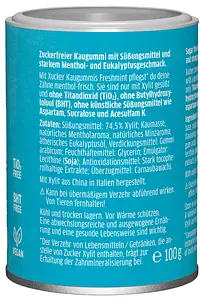 Xylitol Chewing Gum Menthe Verte, 100 g