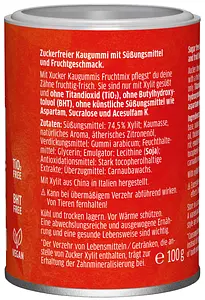 Xylitol Chewing Gum Fruit Mix, 100 g