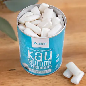 Xylitol Chewing Gum Menthe Verte, 100 g