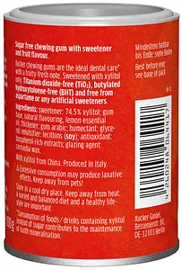 Xylitol Chewing Gum Fruit Mix, 100 g