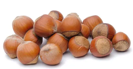 Hazelnuts Bulk Buy Organic