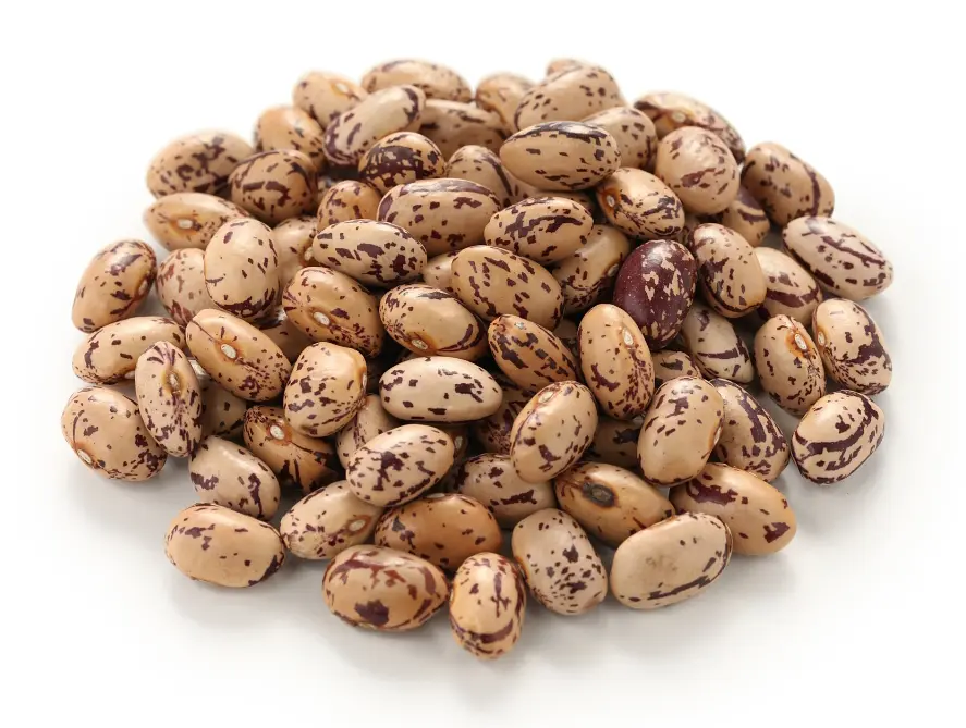 Beans Borlotti Bulk Buy BioSuisse