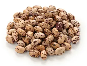 Beans Borlotti Bulk Buy BioSuisse, 5 kg