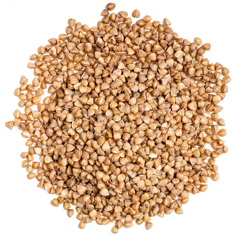 Buckwheat Grains Bulk Buy Organic