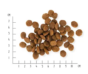 Dog Dry Food Vegan Farmer's Crunch, 10 kg