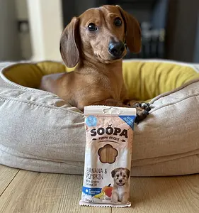 Dental Sticks Puppies Banana & Pumpkin, 100 g