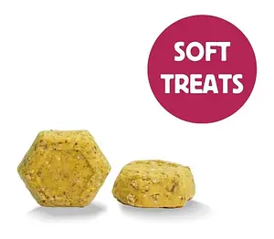 Got an Itch? Friandises de bien-être végétaliennes pour chiens, 100 g